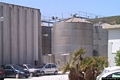Alghero: Santa Maria la Palma: l’Azienda agricola Santa Maria la Palma