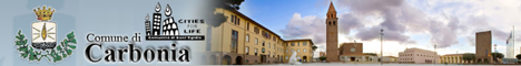 Visita del sito istituzionale del comune