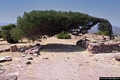 Carbonia-Monte Sirai: un albero piegato dal vento di maestrale che soffia sulla sommità del Monte Sirai Carbonia-Monte Sirai: un albero piegato dal vento di maestrale che soffia sulla sommità del Monte Sirai