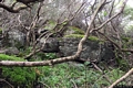 Carbonia-Monte Sirai: resti del nuraghe Lallai