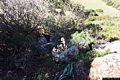 Carbonia-Monte Sirai: resti del nuraghe Terra Niedda