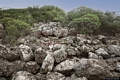 Carbonia-Monte Sirai: resti del nuraghe Nuraxieddu
