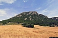 Carbonia-Medau Piredda: il monte Tasua