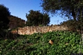 Carbonia-Barega: ruderi della chiesa giudicale di Santa Maria de Barega