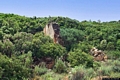 Carbonia-Sirri: rudere della miniera di Monte Spina fra la vegetazione