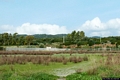 Carbonia-Serbariu: il campo da calcio