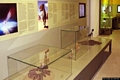 Carbonia-Serbariu: il Museo di Paleontologia e Speleologia Edouard Alfred Martel