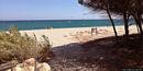 Cardedu-spiaggia di Museddu: veduta della spiaggia e della pineta