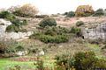 Cargeghe-Le tombe a prospetto architettonico di Pescialzu