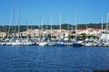 Carloforte-Il Porto dei Pescatori Carloforte-Il Porto dei Pescatori