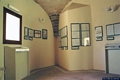 Carloforte-Museo Civico Casa del Duca: interno Carloforte-Museo Civico Casa del Duca: interno