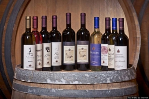I vini della Cantina Sociale di Castiadas