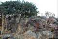 Chiaramonti-frazione Tenuta Madau-resti del nuraghe su Montju de su Aldu Chiaramonti-frazione Tenuta Madau-resti del nuraghe su Montju de su Aldu