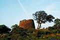 Chiaramonti: il nuraghe Ruiu