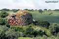 Chiaramonti: il nuraghe Longu