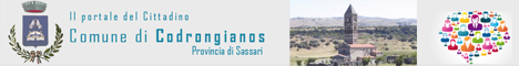 Visita del sito istituzionale del comune