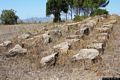 Collinas-tombe di giganti Sedda Sa Caudeba-resti della tomba B