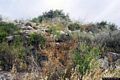 Collinas-resti del nuraghe di Sa Corona Arrubia