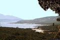 Arzachena-Costa Smeralda: verso la spiaggia di Petra Niedda