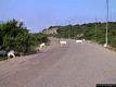 Arbus: costa Verde: attraversamento capre Arbus: costa Verde: attraversamento capre