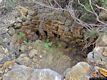 Arbus-Scivu-resti del nuraghe complesso Narocci chiamato anche nuraghe Cancedda