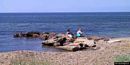 Quartu Sant’Elena: la spiaggia di Sa Tiacca