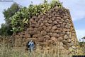 Cuglieri-resti del nuraghe semplice Ergulis