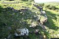 Cuglieri-acropoli della città di Cornus: resti della Basilica di Corchinas