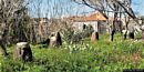 Cuglieri-Santa Caterina di Pittinuri: i betili davanti alla chiesa di Santa Caterina d’Alessandria