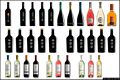 La Cantina Sociale di Dolianova: i vini della Cantina Sociale