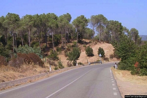 La strada da Teulada verso Domus de Maria