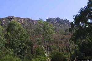 La strada da Teulada verso Domus de Maria La strada da Teulada verso Domus de Maria