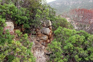 Domus de Maria: chia: torre secondaria del nuraghe Baccu Idda Domus de Maria: chia: torre secondaria del nuraghe Baccu Idda