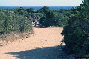 Domus de Maria-Verso la spiaggia di Cala Cipolla