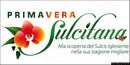 Domusnovas: locandina della Primavera Sulcitana