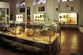 Dorgali-Museo Archeologico: veduta interna