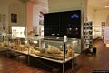 Dorgali-Museo Archeologico: veduta interna