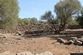 Dorgali-Villaggio nuragico di Serra Orrios: Lo spazio sacro recintato con i resti del tempio a megaron esterno