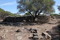 Dorgali-Villaggio nuragico di Serra Orrios: verso il tempietto a tholos