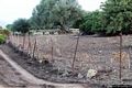 Dorgali-Cala Gonone: la strada verso il nuraghe Mannu
