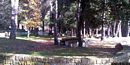 Elini: il parco del Carmine