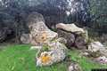 Erula: basile-resti del nuraghe nuragheddu