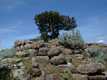 Erula-Tettile: il nuraghe di Ispiene