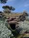 Erula-Tettile: il nuraghe di Ispiene