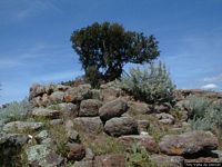 Erula-Tettile: il nuraghe di Ispiene