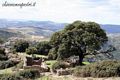 Esterzili-resti della chiesa campestre di Santa Maria