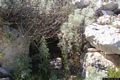 Florinas: ingresso del Protonuraghe di Alzola Trigale