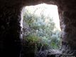 Florinas: ingresso della domus de janas di su Cannuju