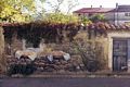 Fonni: i tre murales 'Tia Capassa'</em>': il secondo murale