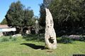 Fonni-Sito archeologico di San Michele Orrui: i menhir I e II